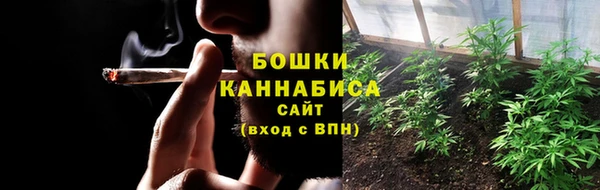 прущие грибы Россошь