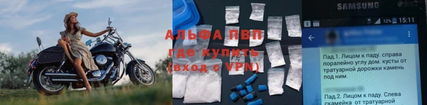 ПСИЛОЦИБИНОВЫЕ ГРИБЫ Ростов