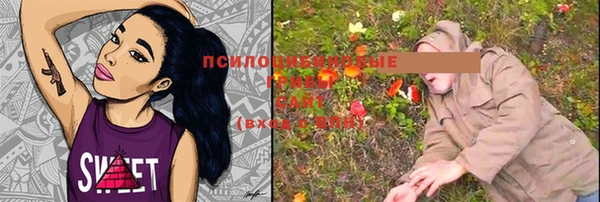 прущие грибы Россошь