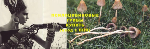 a pvp Баксан