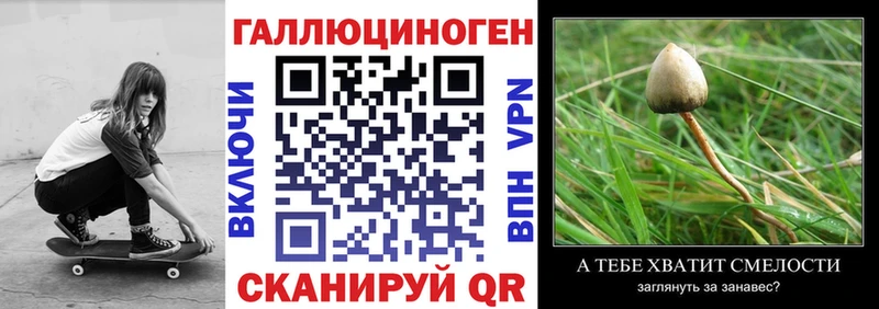 Галлюциногенные грибы GOLDEN TEACHER Тырныауз